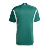 Camisolas Irlanda do Norte 1º Equipamento Principal 2022 Manga Curta